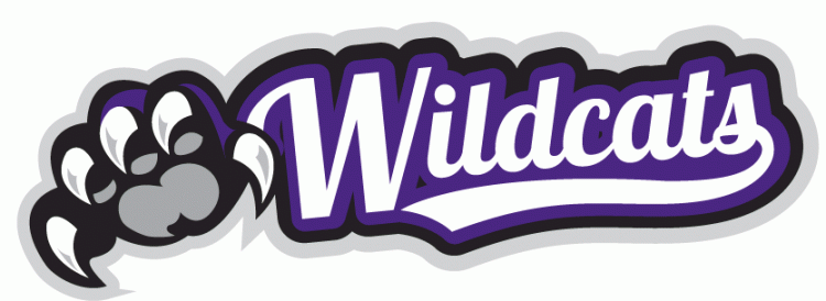 Weber State Wildcats 2012-Pres Misc Logo iron on transfers for T-shirts